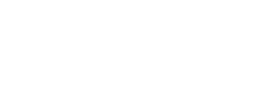 Logo STREAP.